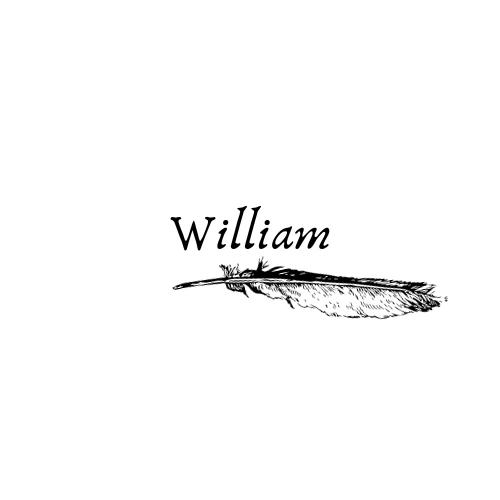 William logo featuring a feather pen icon below the text "William".